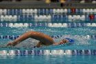 Swimming vs CGA  Wheaton College Swimming & Diving vs Coast Guard Academy. - Photo By: KEITH NORDSTROM : Wheaton, Swimming, diving